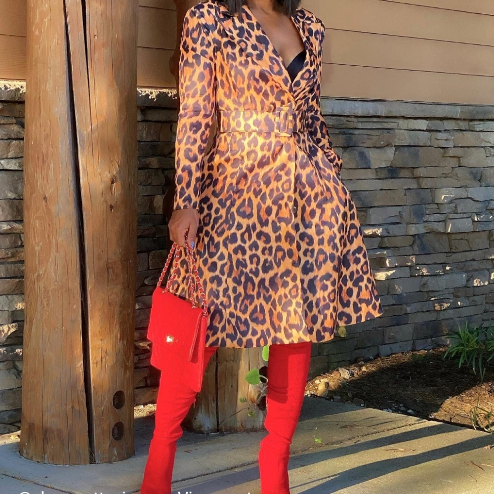 Animal print coat dress